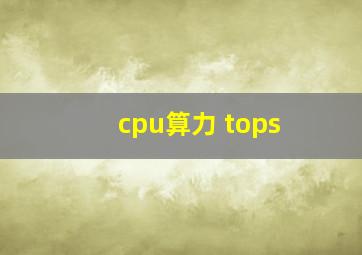 cpu算力 tops